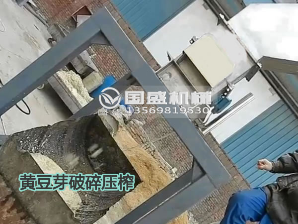 草莓SOLO视频下载黄豆芽固液分离机