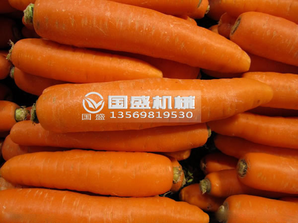 草莓SOLO视频下载胡萝卜脱水挤压机
