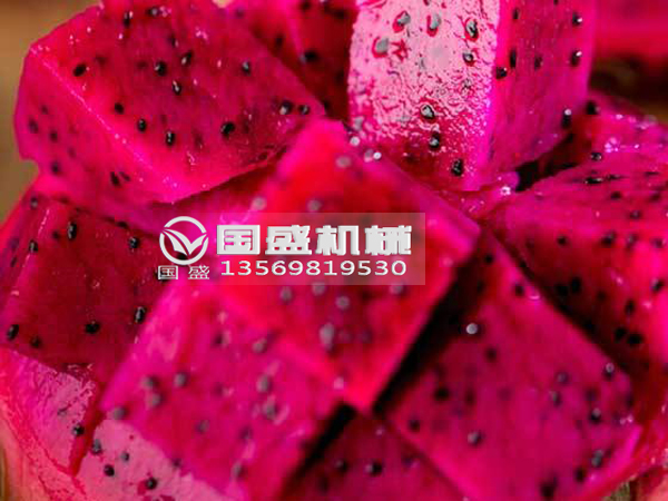 草莓SOLO视频下载火龙果挤压脱水设备