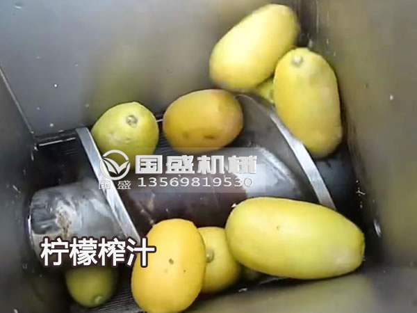草莓SOLO视频下载新款大型柠檬榨汁机 草莓SOLO视频下载新款大型柠檬榨汁机