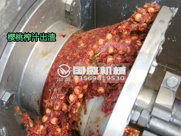 草莓SOLO视频下载樱桃螺旋压榨脱水机 草莓SOLO视频下载樱桃螺旋压榨脱水机